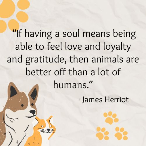 Soul that feels love