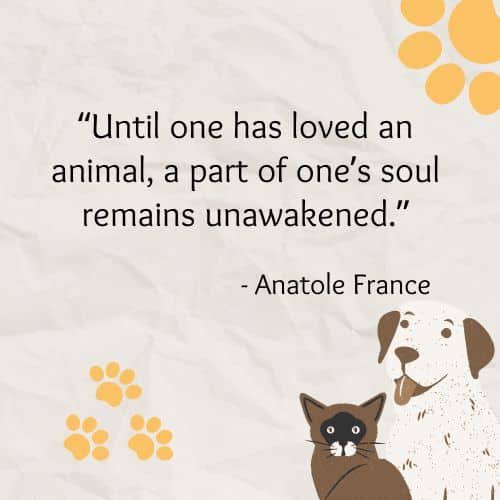 Soul that is unawakened