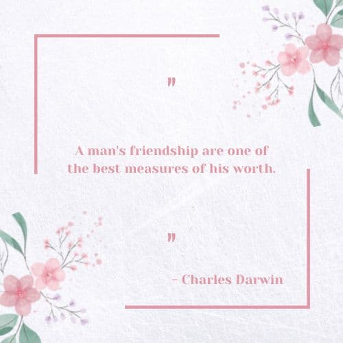 A man's friendships are one of