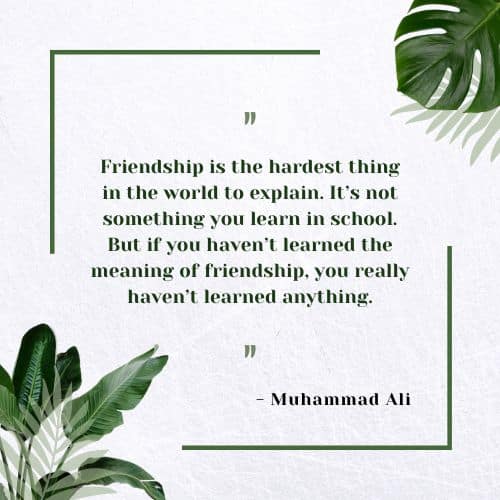 Friendship is the hardest thing