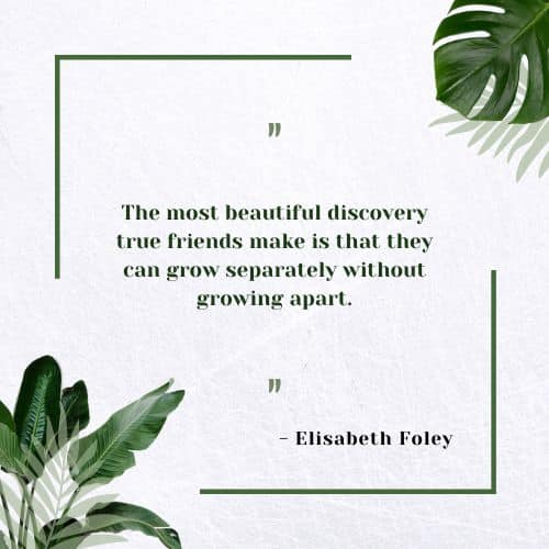 The most beautiful discovery