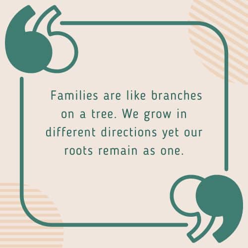 directions yet our roots