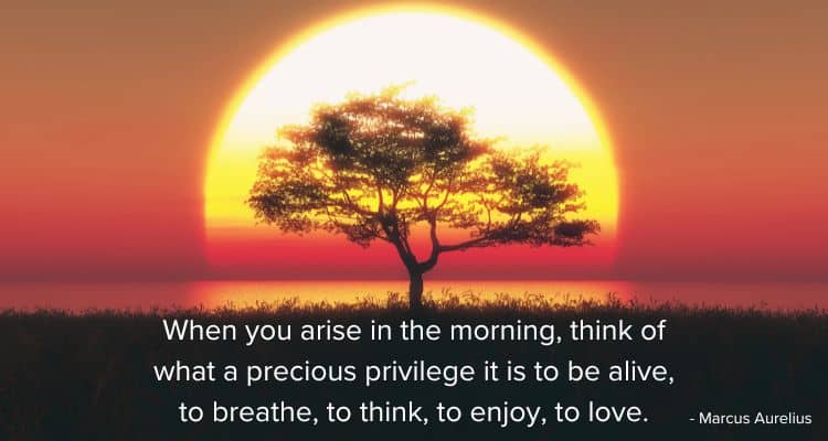 When you arise in the morning, think of what a precious privilege it is to be alive, to breathe, to think, to enjoy, to love