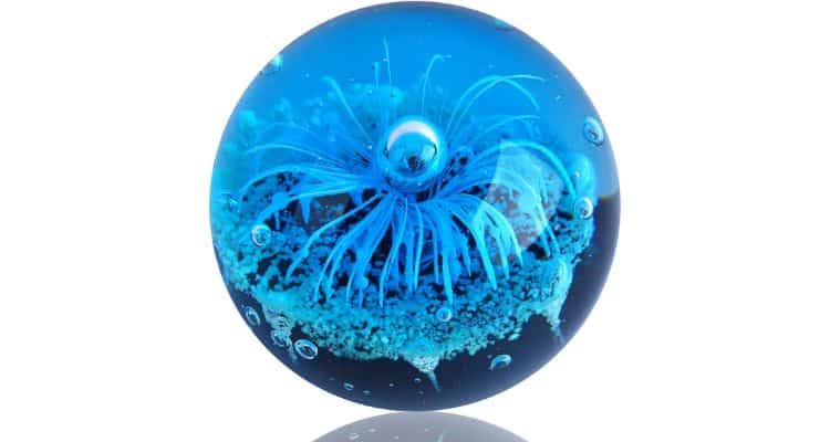 Glass Anemone paperweight ball