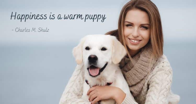 Happiness is a warm puppy