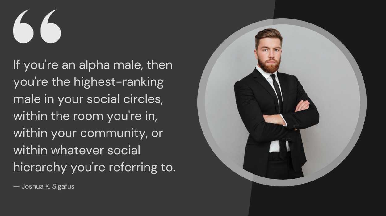 alpha male characteristics