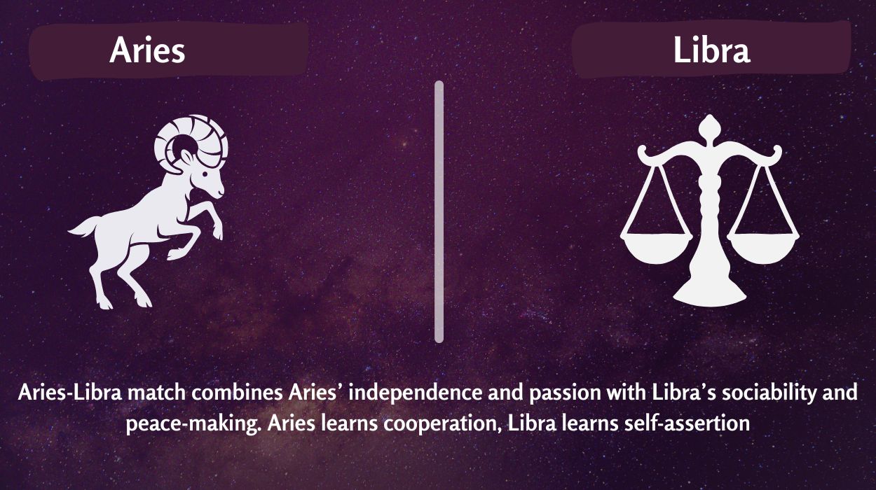 best zodiac matches for twin flames
