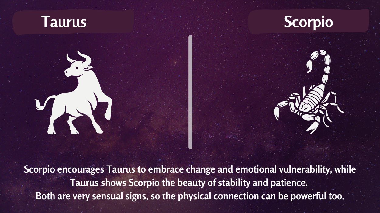 twin flame compatibility by zodiac