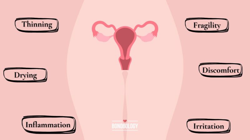 Vaginal atrophy menopause