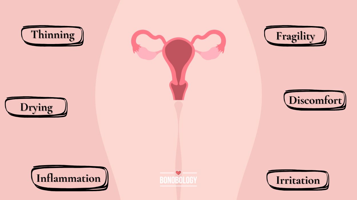 Vaginal atrophy menopause