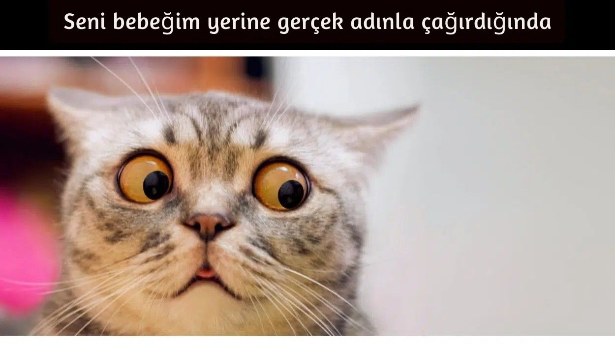kız arkadaşınız için sevimli isimler