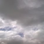 Rea